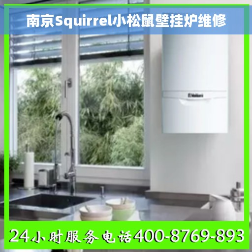 南京Squirrel小松鼠壁挂炉维修