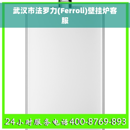 武汉市法罗力(Ferroli)壁挂炉客服