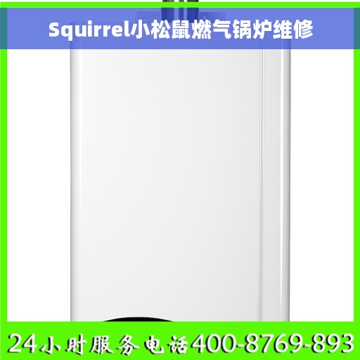 Squirrel小松鼠燃气锅炉维修