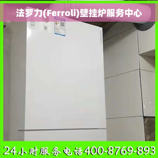 法罗力(Ferroli)壁挂炉服务中心