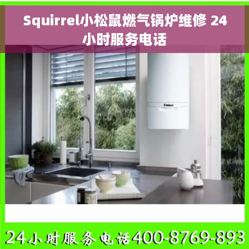 Squirrel小松鼠燃气锅炉维修 24小时服务电话