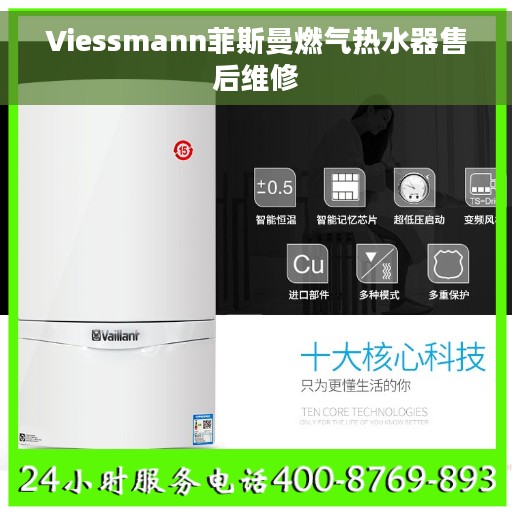 Viessmann菲斯曼燃气热水器售后维修