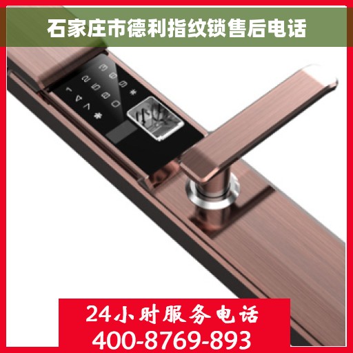 石家庄市德利指纹锁售后电话