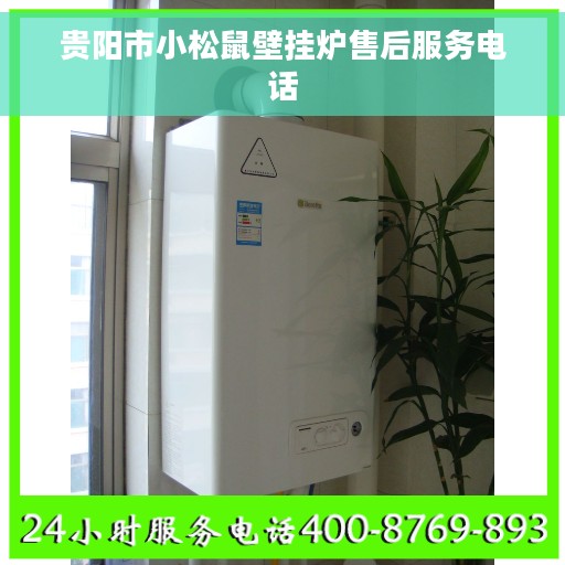 贵阳市小松鼠壁挂炉售后服务电话