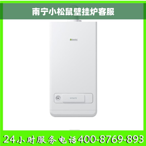 南宁小松鼠壁挂炉客服 南宁小松鼠壁挂炉客服