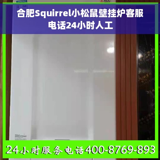 合肥Squirrel小松鼠壁挂炉客服电话24小时人工