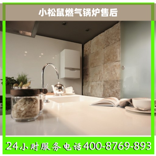 小松鼠燃气锅炉售后