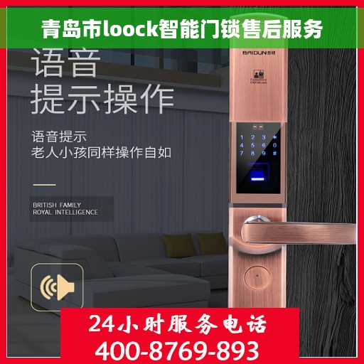 青岛市loock智能门锁售后服务