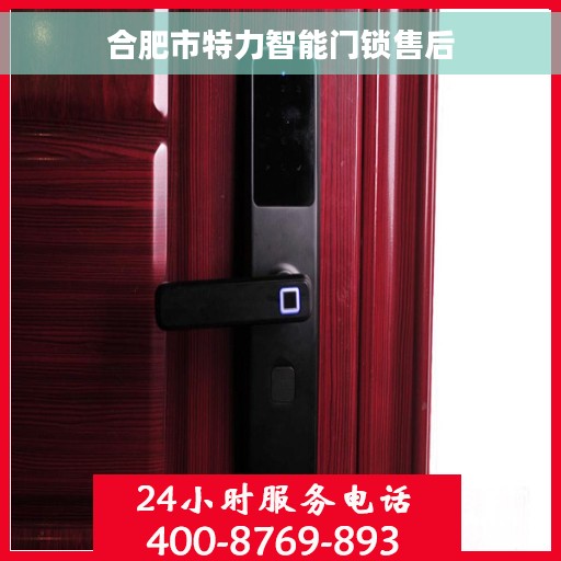 合肥市特力智能门锁售后