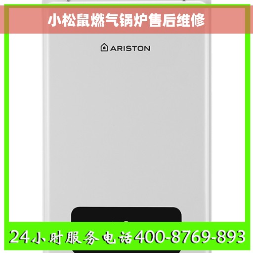 小松鼠燃气锅炉售后维修