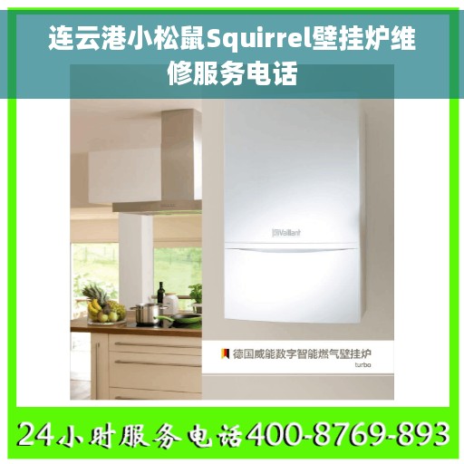 连云港小松鼠Squirrel壁挂炉维修服务电话