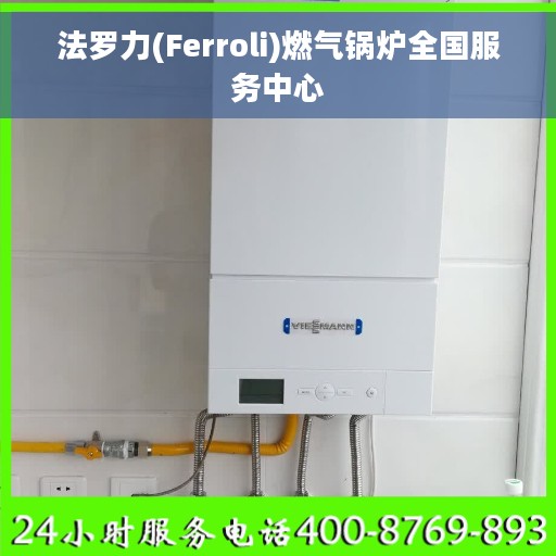 法罗力(Ferroli)燃气锅炉全国服务中心