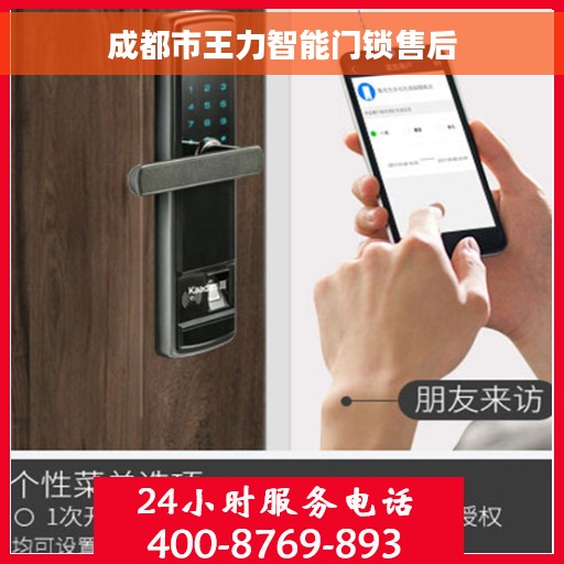 成都市王力智能门锁售后