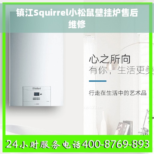 镇江Squirrel小松鼠壁挂炉售后维修