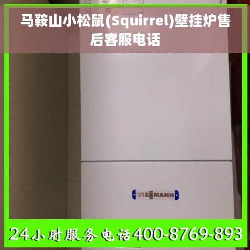 马鞍山小松鼠(Squirrel)壁挂炉售后客服电话