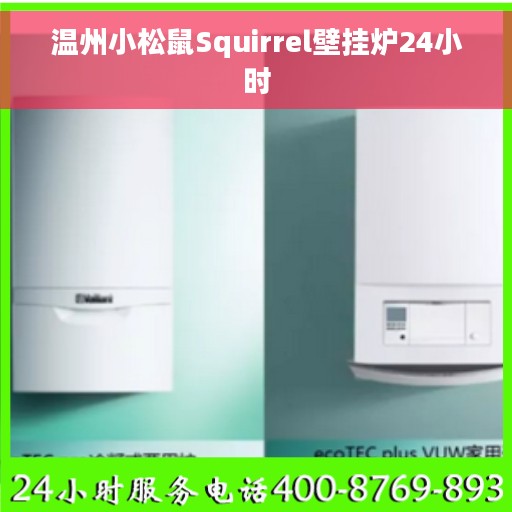 温州小松鼠Squirrel壁挂炉24小时
