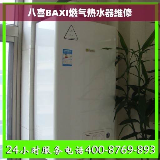 八喜BAXI燃气热水器维修