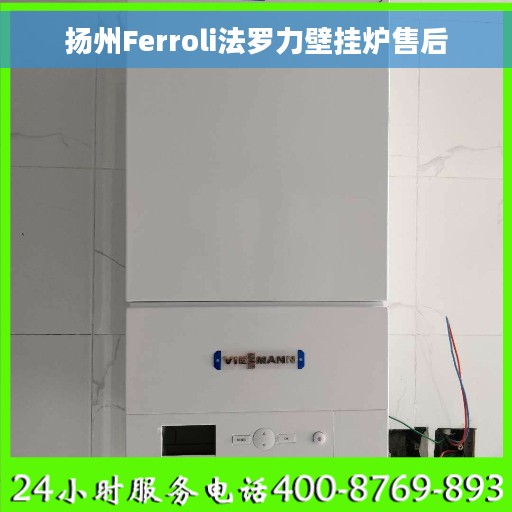 扬州Ferroli法罗力壁挂炉售后