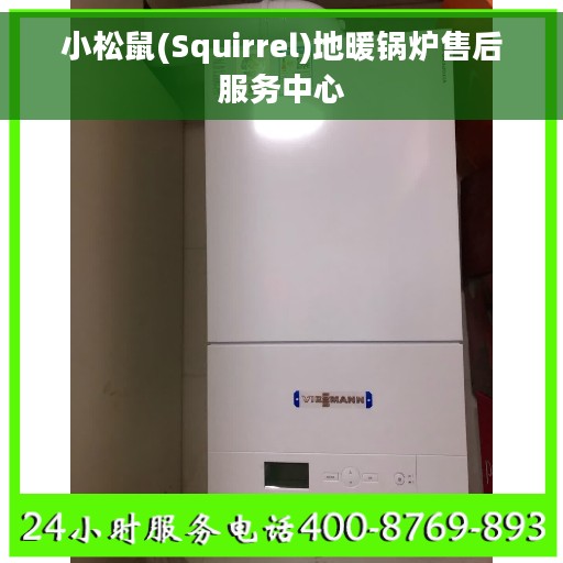 小松鼠(Squirrel)地暖锅炉售后服务中心 小松鼠(Squirrel)地暖锅炉售后服务中心