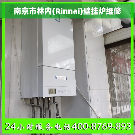 南京市林内(Rinnai)壁挂炉维修