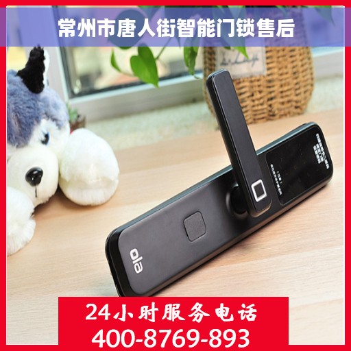 常州市唐人街智能门锁售后