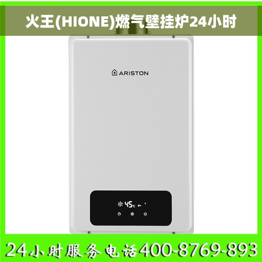 火王(HIONE)燃气壁挂炉24小时