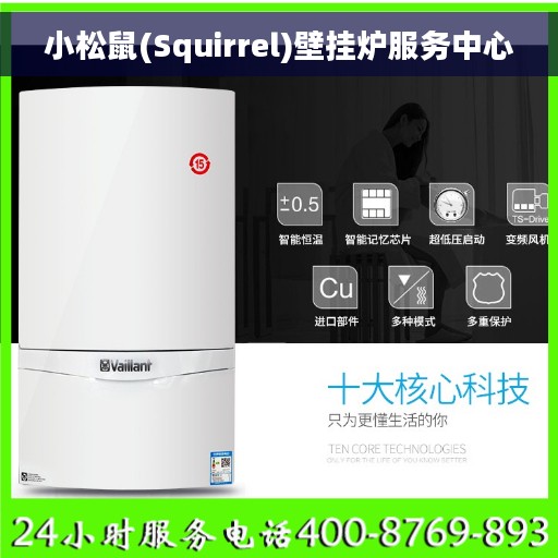 小松鼠(Squirrel)壁挂炉服务中心