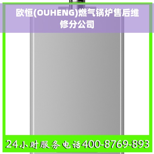 欧恒(OUHENG)燃气锅炉售后维修分公司