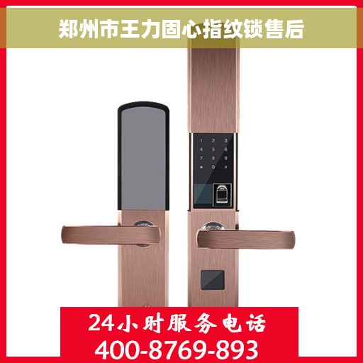 郑州市王力固心指纹锁售后