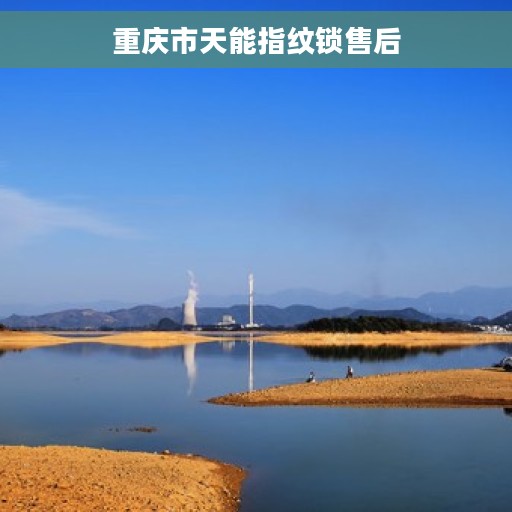 重庆市天能指纹锁售后