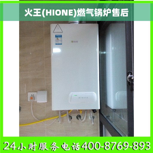 火王(HIONE)燃气锅炉售后