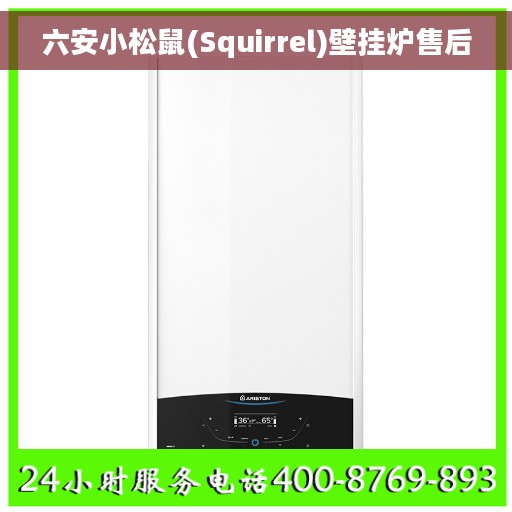 六安小松鼠(Squirrel)壁挂炉售后