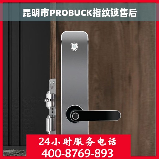 昆明市PROBUCK指纹锁售后