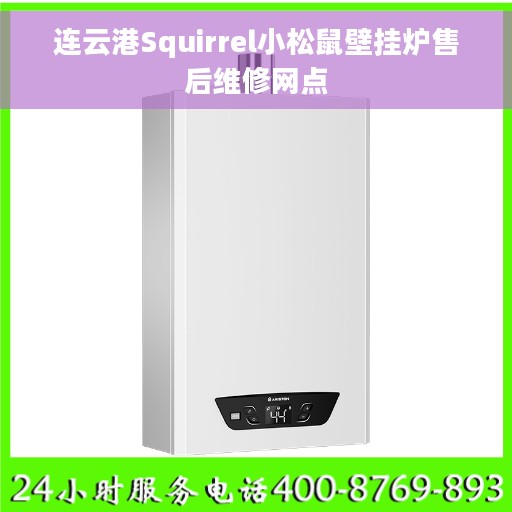 连云港Squirrel小松鼠壁挂炉售后维修网点