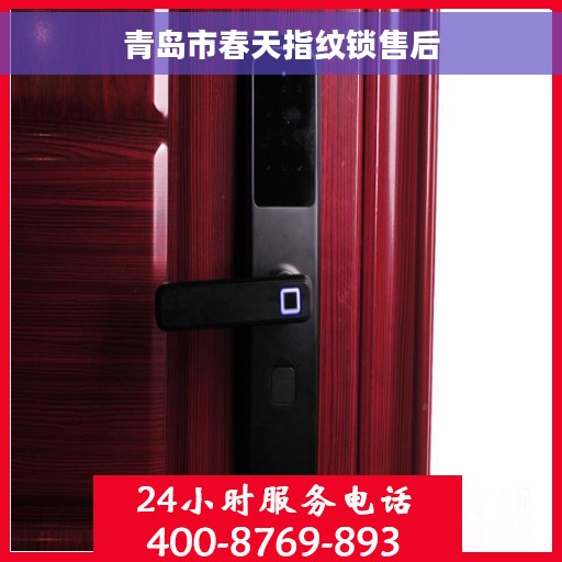 青岛市春天指纹锁售后