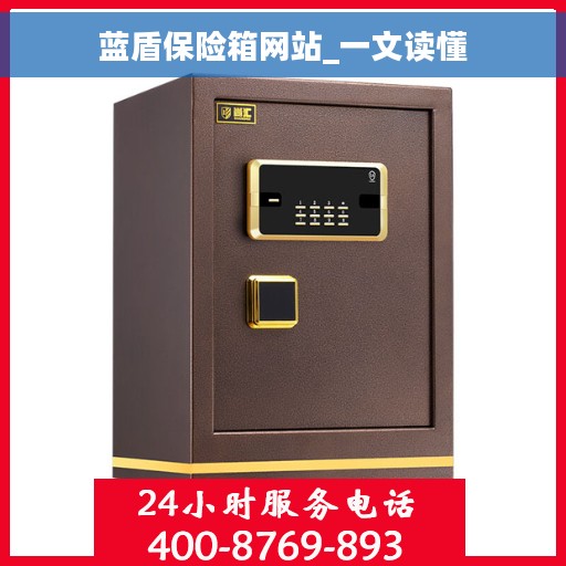 蓝盾保险箱网站_一文读懂