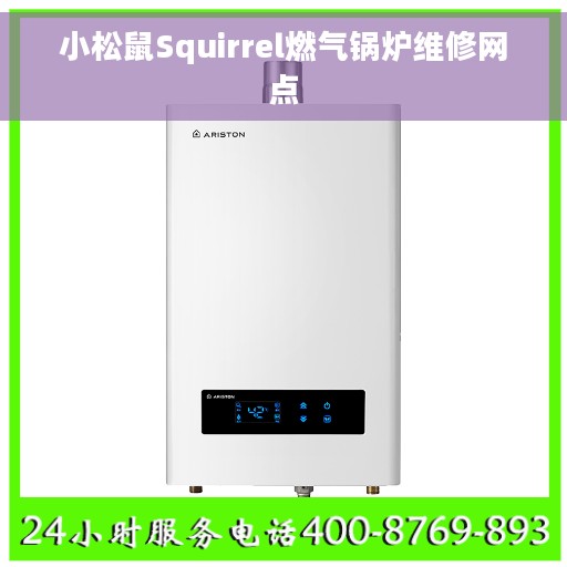 小松鼠Squirrel燃气锅炉维修网点