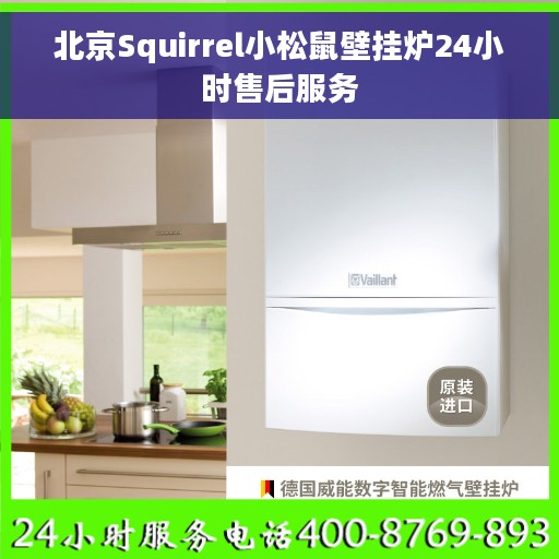 北京Squirrel小松鼠壁挂炉24小时售后服务