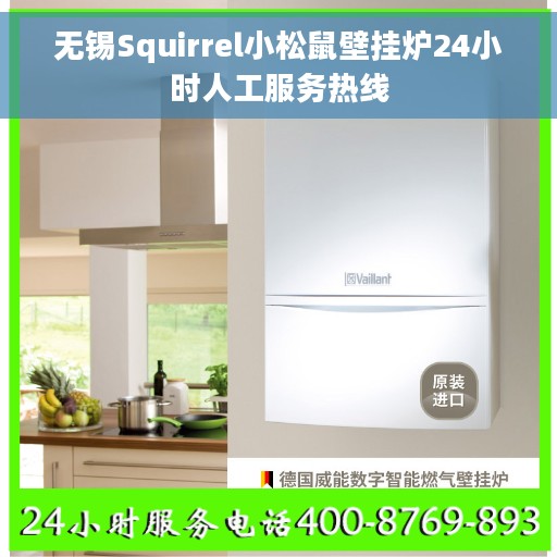 无锡Squirrel小松鼠壁挂炉24小时人工服务热线