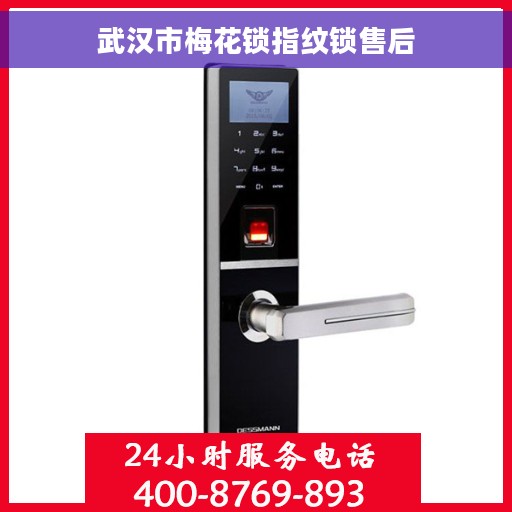 武汉市梅花锁指纹锁售后