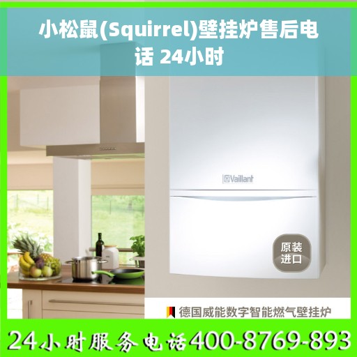 小松鼠(Squirrel)壁挂炉售后电话 24小时