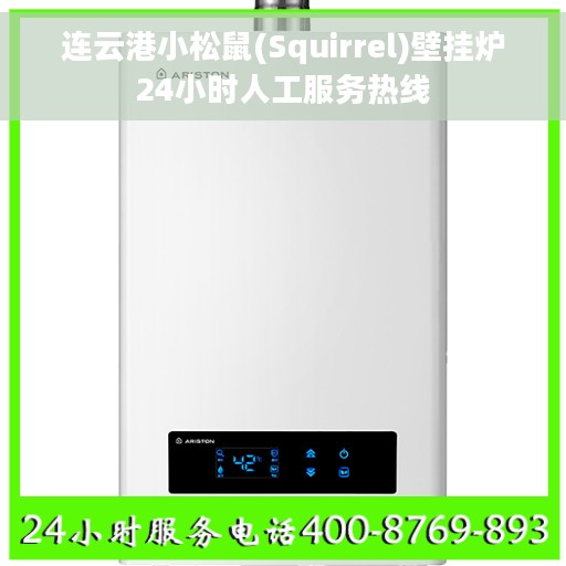 连云港小松鼠(Squirrel)壁挂炉24小时人工服务热线