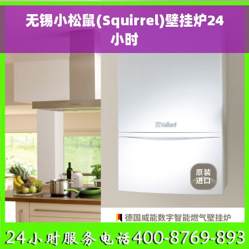 无锡小松鼠(Squirrel)壁挂炉24小时
