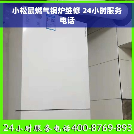 小松鼠燃气锅炉维修 24小时服务电话