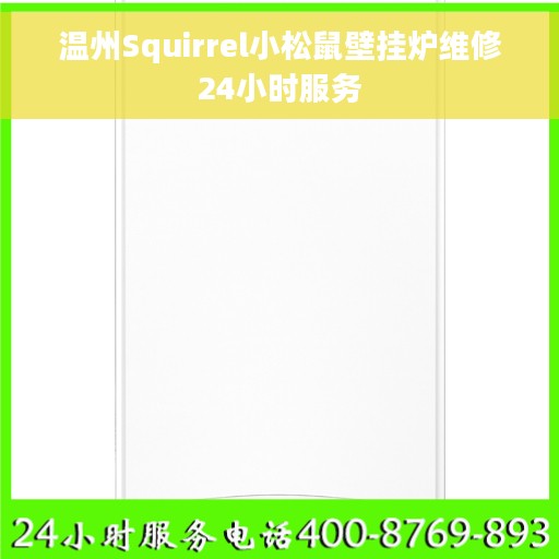 温州Squirrel小松鼠壁挂炉维修24小时服务