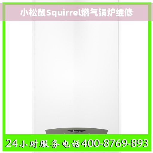 小松鼠Squirrel燃气锅炉维修