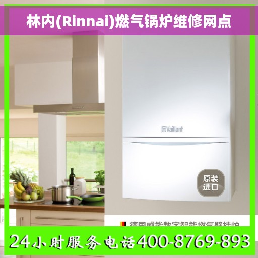 林内(Rinnai)燃气锅炉维修网点