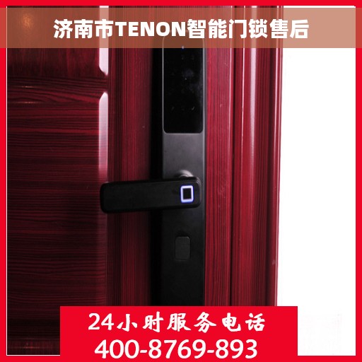 济南市TENON智能门锁售后