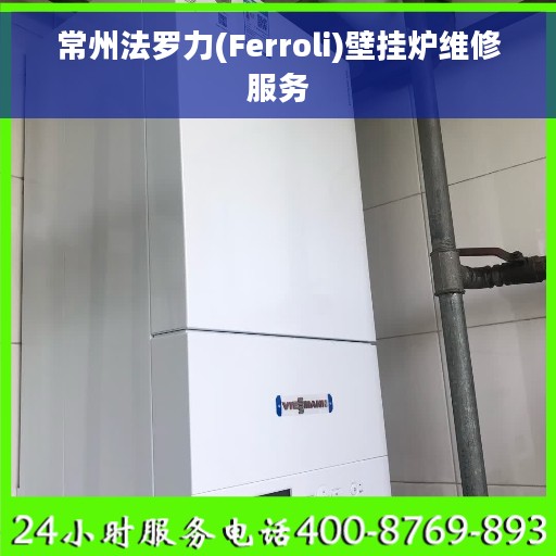 常州法罗力(Ferroli)壁挂炉维修服务 常州法罗力(Ferroli)壁挂炉维修服务