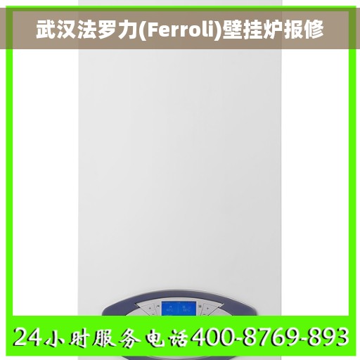 武汉法罗力(Ferroli)壁挂炉报修